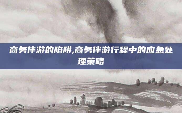 邵东商务伴游的陷阱,商务伴游行程中的应急处理策略